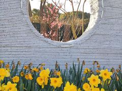 -苏州上方山国家森林公园