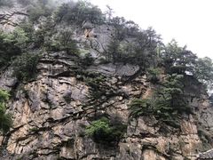 -青峰峡国家森林公园