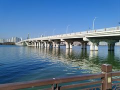 -长广溪湿地公园