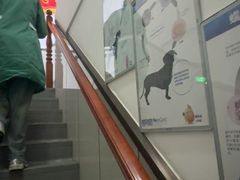 -心仪动物医院·牙专科·肿瘤·心脏科(西客站院)