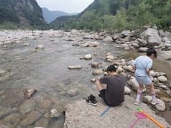 -青峰峡国家森林公园