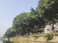 -光明港公园