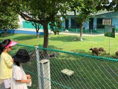 -西霞口神雕山野生动物世界