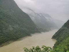 -武陵山森林公园