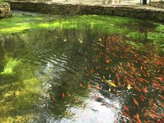 -水磨沟公园