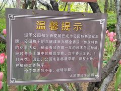 -迎泽公园