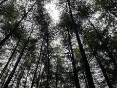 -硗碛藏寨·神木垒景区