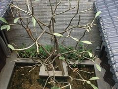 -归觅·西关小姐人文艺术馆(荔枝湾店)