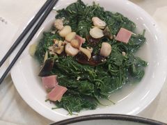 上汤枸杞叶-渔意楼·驰名沙田乳鸽(五羊店)