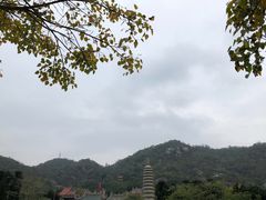 -胡里山炮台