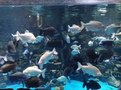 -多彩贵州城极地海洋世界