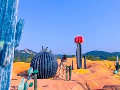 -西海岸生态观光园