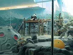 -武汉动物园