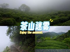 -十里琅珰