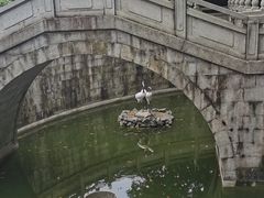 -三水森林公园
