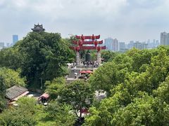 -黄鹤楼公园(黄鹤楼)