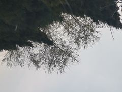 -森林公园(尖草坪区)