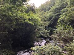 -神农架香溪源景区