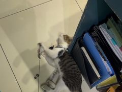 -谜盒子奇幻密室(南屏店)