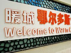 -鄂尔多斯伊金霍洛国际机场