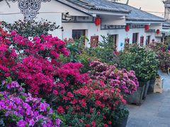 -瑞丰园庭院餐厅·白族传统家常菜