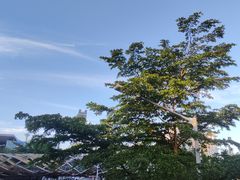 -壹海城ONE MALL