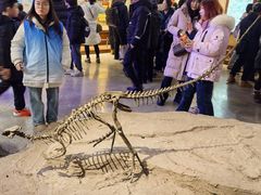 -自贡恐龙博物馆