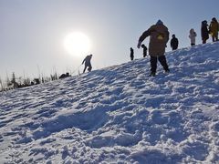 -绿野森林乐园冰雪季