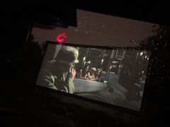 -枫花园汽车电影院(朝阳公园店)