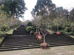 -南山植物园