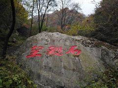 石头-王顺山国家森林公园