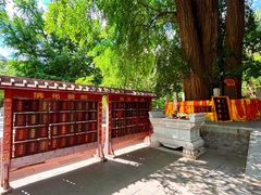 -潭柘寺景区