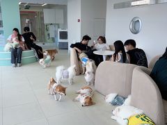 -怪兽屋·羊驼·猫咖·狗咖(俊华广场店)