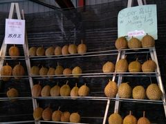 -都念榴莲·城市榴莲