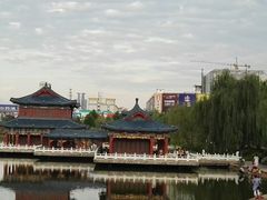-雁滩公园