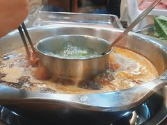 -金鼎雪山牦牛杂火锅(理县总店)