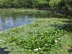 -长春市南湖公园