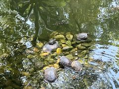 -南岳衡山风景名胜区-南岳大庙