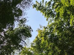 -大奇山国家森林公园