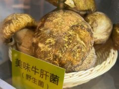 -菌海森林·非遗野生菌火锅(西山区滇池路摩根道店)