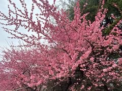 -白塘生态植物园