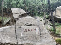 -泰山风景名胜区