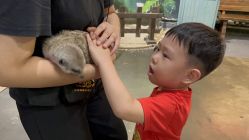 -Zoolung Zoolung动物主题公园(海信广场店)