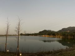 -水濂山森林公园