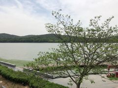 -水上明月·湖景餐厅