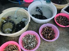 -霞涌市场海鲜摆卖区