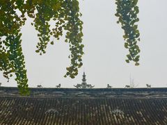 -房湖公园