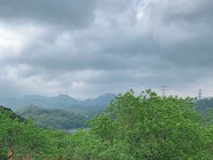 -深圳仙湖植物园