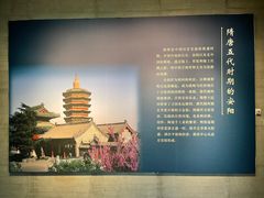 -安阳博物馆