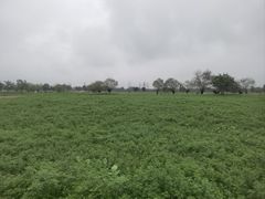 -汉长安城未央宫国家考古遗址公园